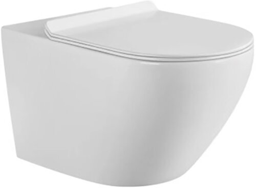 Унитаз подвесной Aquanet Rimless Cetus W Short LX-1900 крышка микролифт
