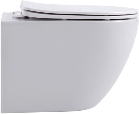 Унитаз подвесной Aquanet Rimless Cetus W Short LX-1900 крышка микролифт