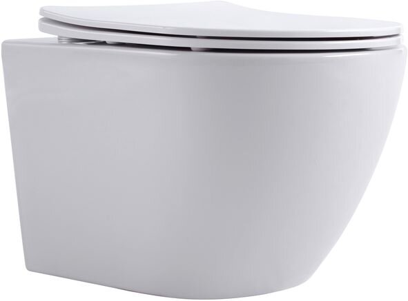 Унитаз подвесной Aquanet Rimless Cetus W Short LX-1900 крышка микролифт
