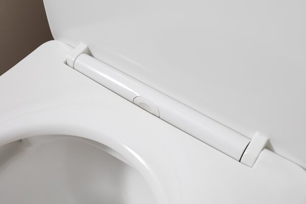 Чаша напольного унитаза Aquanet Rimless Cetus 2.0 C1 LX-2903 крышка микролифт