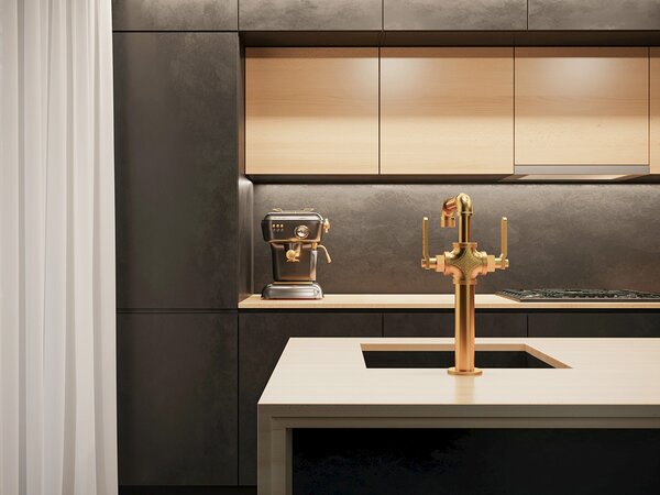 Смеситель для кухни Paulmark Loft Lo226006-G цвет золото
