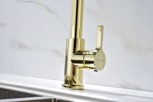 Смеситель для кухни Paulmark Halt Ha214021-G цвет золото