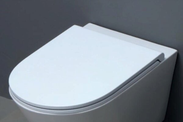AZZURRA FORMA FOR1800/F bi/cr Сиденье для унитаза быстросъемное с микролифтом, цвет белый, петли хром