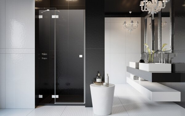 Душевая дверь Radaway Essenza Pro White DWJ 120 см профиль белый матовый