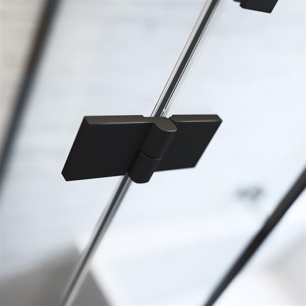 Душевая дверь Radaway Essenza New Black DWJ 100 см распашная профиль черный