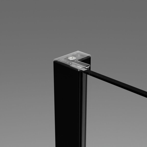 Душевая дверь Radaway Essenza New BLACK DWJS 120 см распашная профиль черный