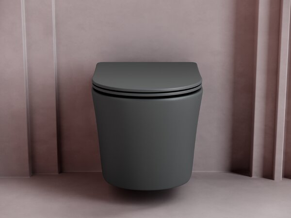 Подвесной унитаз с сиденьем Ceramica Nova BALEARICA CN6000MDH Темный Антрацит Матовый