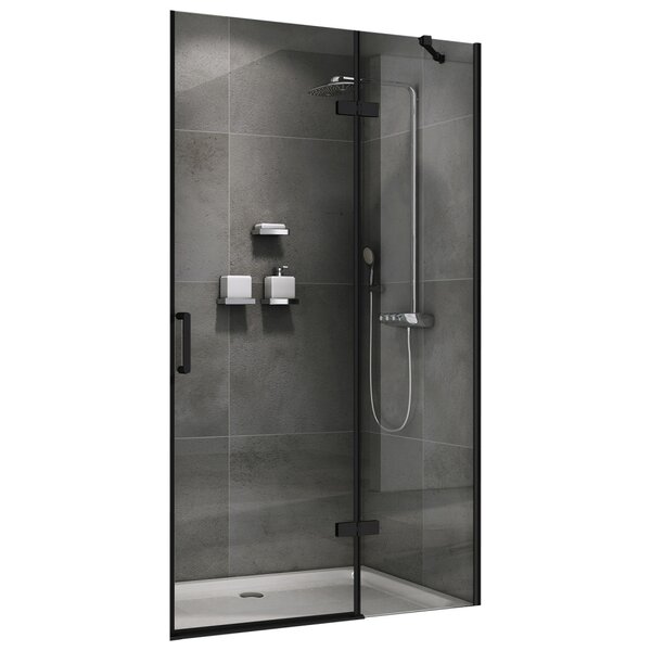 Душевая дверь ABBER Zart AG08100B профиль черный 100х195