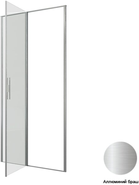 Душевая дверь Allen Brau Priority 100 3.31029.BA серебро браш