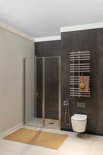 Душевая дверь Allen Brau Priority 90 3.31002.BA серебро браш