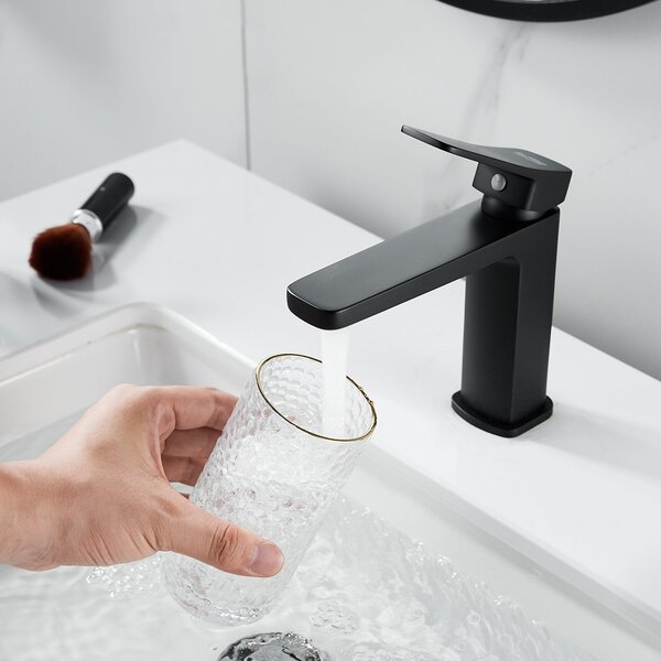 Смеситель для раковины Raffine F0199H, черный