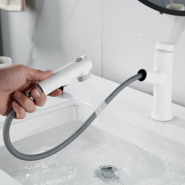 Смеситель для раковины многофункциональный Raffine F281C, белый