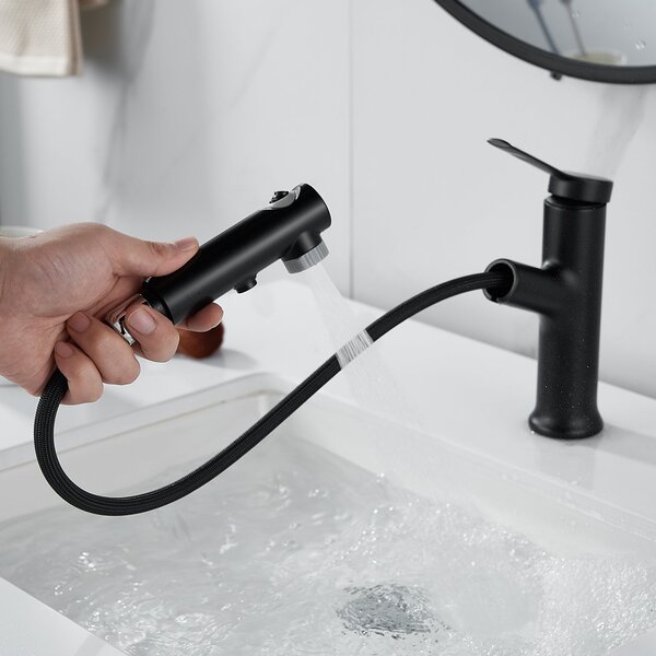 Смеситель для раковины многофункциональный Raffine F281H, черный