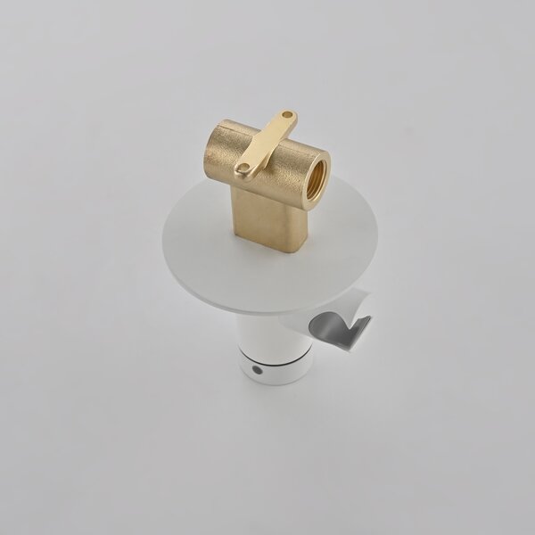 Гигиенический душ со смесителем Rose R235C, белый