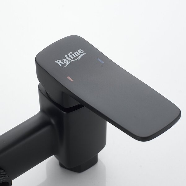 Гигиенический душ со смесителем Raffine F0599H-1, черный