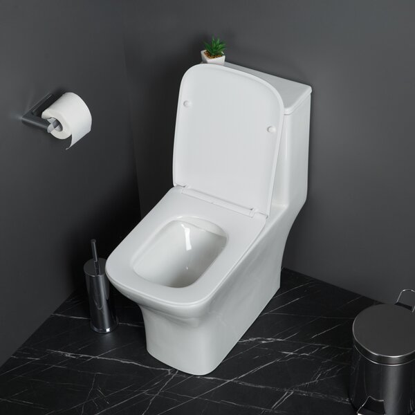 BelBagno NEON Унитаз-моноблок с сиденьем дюропласт soft close, P-trap BB8617CPR-MN/SC