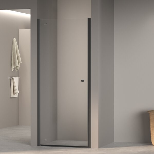 Душевая дверь Dolphin TN-03B 80x195 см, стекло Прозрачное, регулировка 750-800 мм