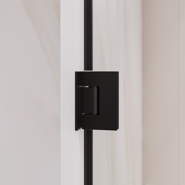Душевая дверь RGW PA-06B 41080606-14 распашная 60х195. Размер регулировки 580-600 мм.
