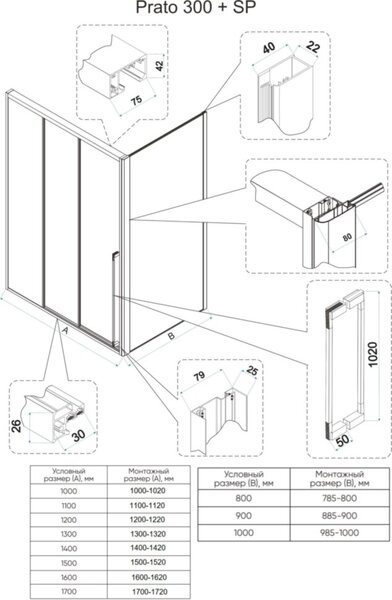 Душевой угол Veconi Premium Ptato 300 SP GR-R, 1000х800x2000, брашированный графит, стекло прозрачное