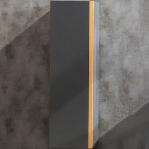 Шкаф пенал Boheme Armadi Art Capolda 35 849-120-A подвесной Антрацит