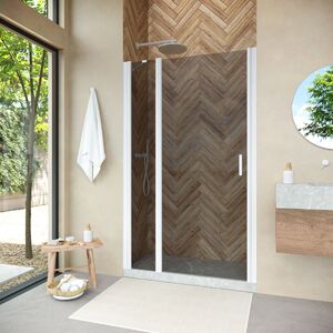 Душевая дверь Vegas Glass EP-F-1 NOVO 115 01 07 L профиль белый, стекло графит. Размер регулировки 113,5-118,5 см.