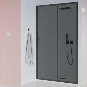 Душевая дверь Veconi Evo 100 B, 1200x1950, черный матовый, стекло тонированное матовое, регулировка 117-121 см