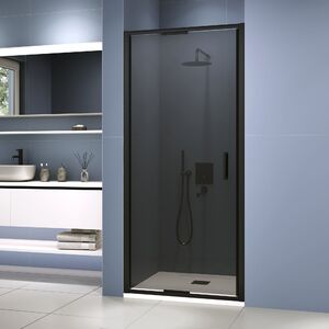 Душевая дверь RGW SV-05-2B 100x200 см, стекло Тонированное, регулировка 980-1020 мм