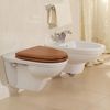 Биде подвесное Villeroy & Boch Century 7453 00 XX