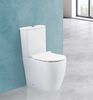 Унитаз напольный с бачком BelBagno ETNA BB2157CPR/BB2157T безободковый