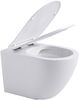 Унитаз подвесной Aquanet Rimless Cetus W Short LX-1900 крышка микролифт