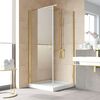 Душевой уголок Vegas Glass EP-Fis LUX 90*100 09 01 L профиль золото глянцевое стекло прозрачное
