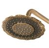 Душевая система Bronze de Luxe Windsor (10124DF)