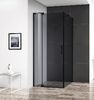 Душевой уголок CEZARES SLIDER-AH-1-100-90/100-GRIGIO-NERO профиль черный, стекло тонированное 90-100x100 см
