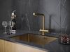 Смеситель для кухни Paulmark Skalen Sk213020-BG цвет брашированное золото