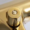 Смеситель для ванны с душем WasserKRAFT Sauer 7101 золотой