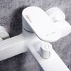 Смеситель для ванны с душем WasserKRAFT Mindel 8501 белый матовый
