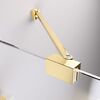 Шторка на ванну Radaway Essenza Pro Gold PND II 100 Left 10102100-09-01L