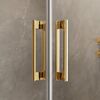 Душевая дверь Radaway Idea Gold DWD 160 см профиль золото 387126-09-01