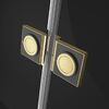 Душевая дверь Radaway Essenza Pro Gold DWJ 90 см профиль золото