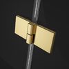 Душевая дверь Radaway Essenza Pro Gold DWJ 120 см профиль золото