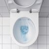 Чаша подвесного унитаза Geberit iCon Rimfree 204060000 безободковая