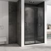 Душевая дверь ABBER Schwarzer Diamant AG30130BH профиль черный 130х195