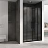 Душевая дверь ABBER Schwarzer Diamant AG33160BH профиль черный 160х195