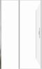 Душевой уголок Allen Brau Priority 120x80 3.31008.BA + 3.31014.BA серебро браш