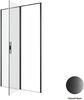 Душевая дверь Allen Brau Priority 120 3.31033.BBA черный браш