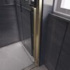 Душевая дверь Veconi Premium Trento PTD-30G, 1400х2000, золото BRUSH, стекло прозрачное, регулируемая ширина 1360-1390 мм
