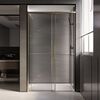 Душевая дверь Veconi Premium Trento PTD-40G, 1500х2000, золото BRUSH, стекло прозрачное, регулируемая ширина 1475-1490 мм