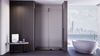 Душевая дверь Veconi Premium Trento PTDW-50B, 1200x2000, черный матовый, стекло прозрачное, регулируемая ширина 1180-1190 мм