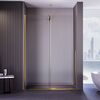 Душевая дверь Veconi Premium Trento PTDW-50G, 1100x2000, золото BRUSH, стекло прозрачное, регулируемая ширина 1080-1090 мм