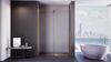 Душевая дверь Veconi Premium Trento PTDW-50G, 1400x2000, золото BRUSH, стекло прозрачное, регулируемая ширина 1380-1390 мм
